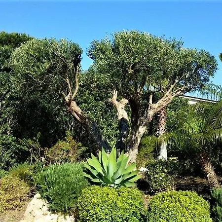 Villa Ares With Private Pool